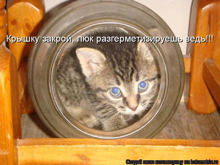 Крышку закрой, люк разгерметизируешь ведь!!!... Котоматрица: Крышку закрой, люк разгерметизируешь ведь!!!