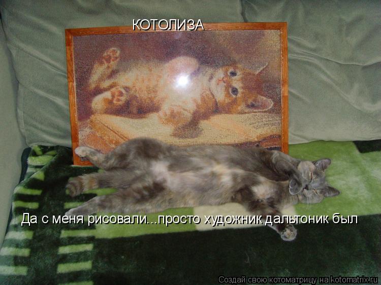 Да с меня рисовали...просто художник дальтоник был КОТОЛИЗА... Котоматрица: Да с меня рисовали...просто художник дальтоник был КОТОЛИЗА