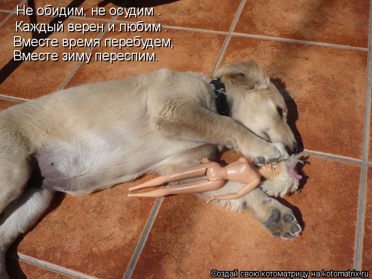 Не обидим, не осудим – Каждый верен и любим – Вместе время перебудем, Вместе зиму переспим.... Котоматрица: Не обидим, не осудим – Каждый верен и любим – Вместе время перебудем, Вместе зиму переспим.
