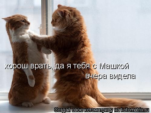 хорош врать, да я тебя с Машкой вчера видела... Котоматрица: хорош врать, да я тебя с Машкой вчера видела