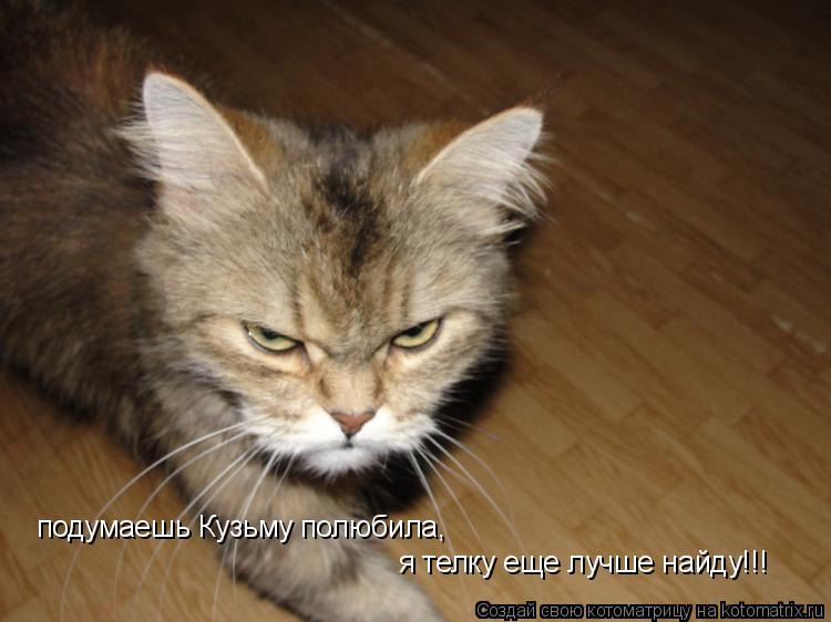 подумаешь Кузьму полюбила, я телку еще лучше найду!!!... Котоматрица: подумаешь Кузьму полюбила, я телку еще лучше найду!!!