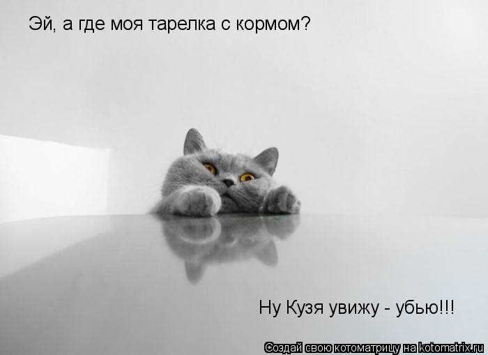 Эй, а где моя тарелка с кормом? Ну Кузя увижу - убью!!!... Котоматрица: Эй, а где моя тарелка с кормом? Ну Кузя увижу - убью!!!
