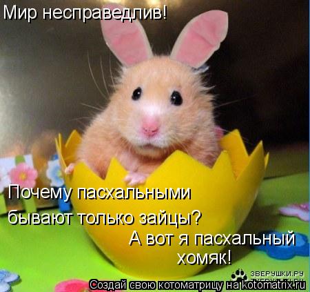 Мир несправедлив! Почему пасхальными бывают только зайцы? А вот я пасхальный хомяк!... Котоматрица: Мир несправедлив! Почему пасхальными бывают только зайцы? А вот я пасхальный хомяк!