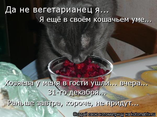 Да не вегетарианец я... Я ещё в своём кошачьем уме... Хозяева у меня в гости ушли... вчера... 31-го д... Котоматрица: Да не вегетарианец я... Я ещё в своём кошачьем уме... Хозяева у меня в гости ушли... вчера... 31-го декабря... Раньше завтра, короче, не придут...
