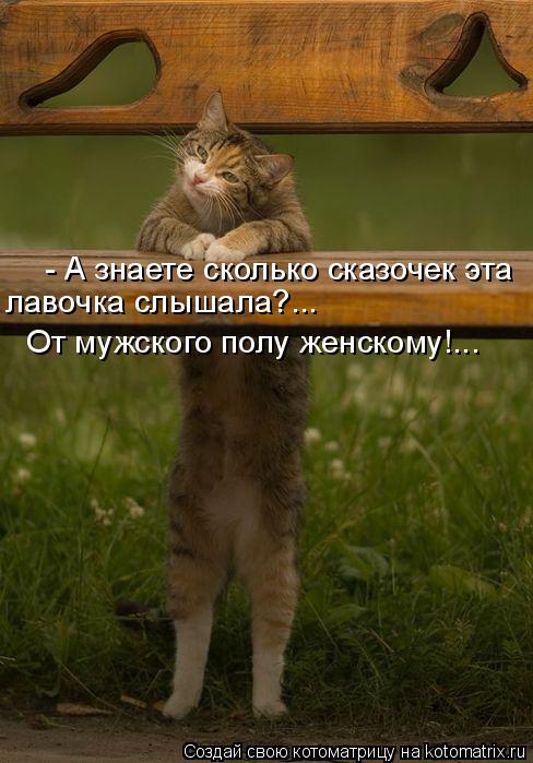 - А знаете сколько сказочек эта лавочка слышала?... От мужского полу женскому!...... Котоматрица: - А знаете сколько сказочек эта лавочка слышала?... От мужского полу женскому!...