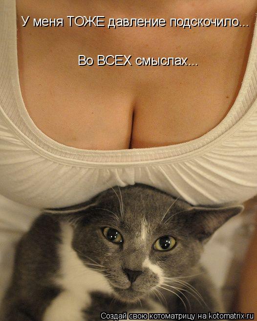 У меня ТОЖЕ давление подскочило... Во ВСЕХ смыслах...... Котоматрица: У меня ТОЖЕ давление подскочило... Во ВСЕХ смыслах...