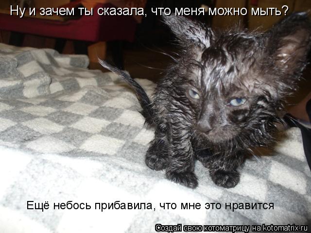 Ну и зачем ты сказала, что меня можно мыть? Ещё небось прибавила, что мне это нравится... Котоматрица: Ну и зачем ты сказала, что меня можно мыть? Ещё небось прибавила, что мне это нравится