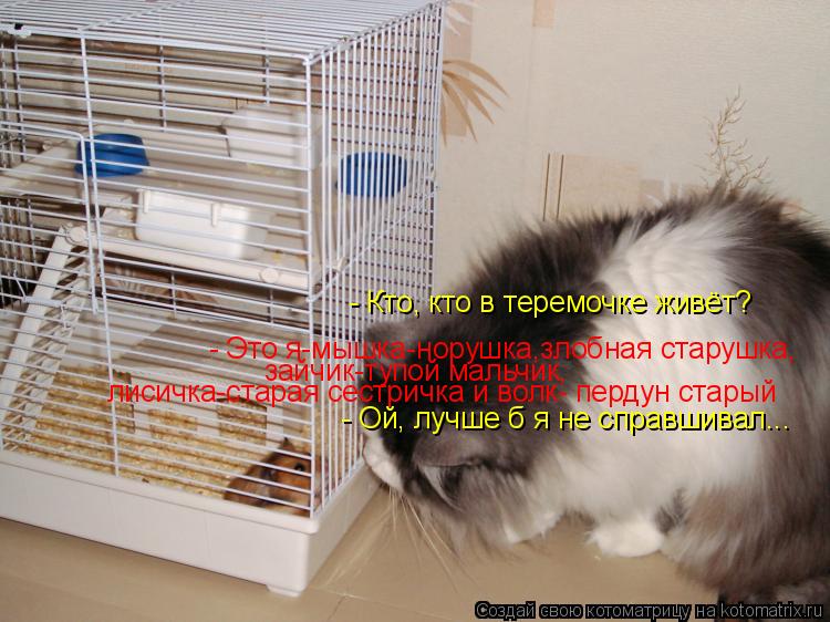 - Это я-мышка-норушка,злобная старушка, зайчик-тупой мальчик, лисичка-старая сестричка и волк- пердун... Котоматрица: - Это я-мышка-норушка,злобная старушка, зайчик-тупой мальчик, лисичка-старая сестричка и волк- пердун старый - Ой, лучше б я не справшивал... - К