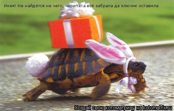 Икея! Не найдётся не чего, черепаха всё забрала да ключик оставила... Котоматрица: Икея! Не найдётся не чего, черепаха всё забрала да ключик оставила