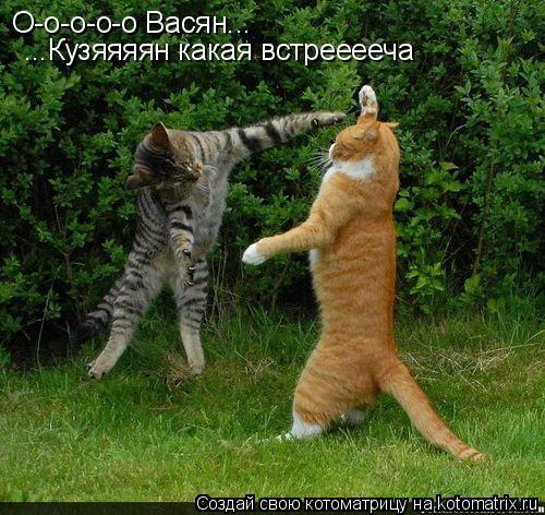 О-о-о-о-о Васян... ...Кузяяяян какая встрееееча... Котоматрица: О-о-о-о-о Васян... ...Кузяяяян какая встрееееча