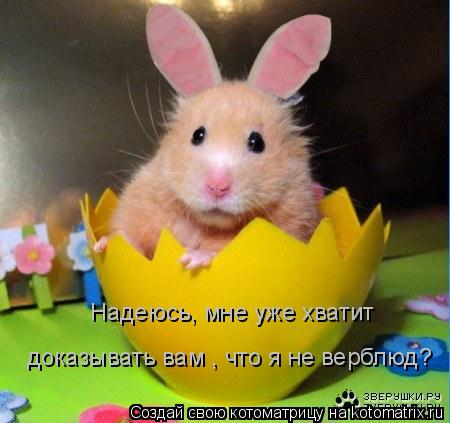 Надеюсь, мне уже хватит доказывать вам , что я не верблюд?... Котоматрица: Надеюсь, мне уже хватит доказывать вам , что я не верблюд?