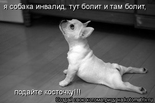 я собака инвалид, тут болит и там болит, подайте косточку!!!... Котоматрица: я собака инвалид, тут болит и там болит, подайте косточку!!!