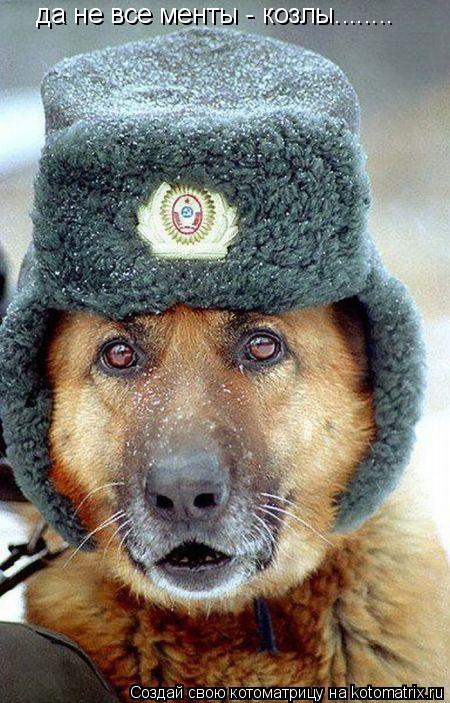 да не все менты - козлы........... Котоматрица: да не все менты - козлы........