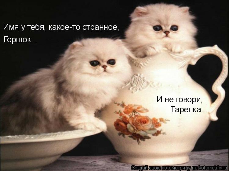 Имя у тебя, какое-то странное, Горшок... И не говори, Тарелка...... Котоматрица: Имя у тебя, какое-то странное, Горшок... И не говори, Тарелка...