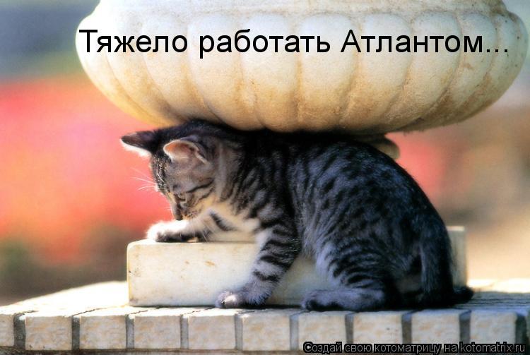 Тяжело работать Атлантом...... Котоматрица: Тяжело работать Атлантом...