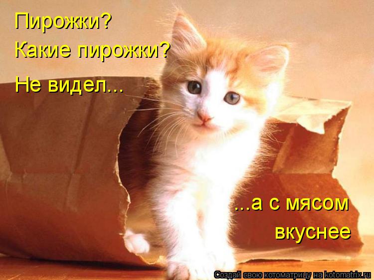 Пирожки? Какие пирожки? Не видел... ...а с мясом вкуснее... Котоматрица: Пирожки? Какие пирожки? Не видел... ...а с мясом вкуснее