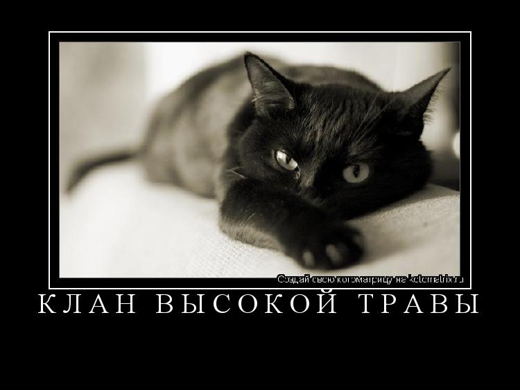 Клан Высокой Травы ... Котоматрица: Клан Высокой Травы