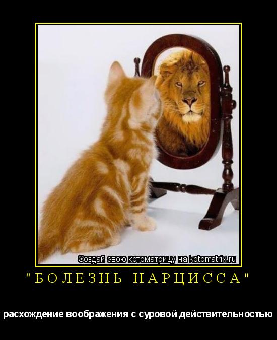 "Болезнь нарцисса" расхождение воображения с суровой действительностью... Котоматрица: "Болезнь нарцисса" расхождение воображения с суровой действительностью
