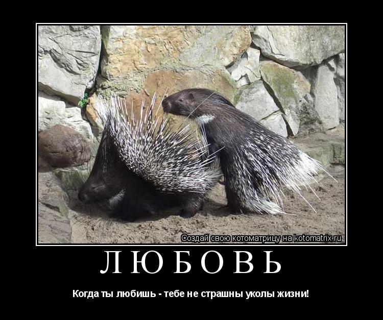 ЛЮБОВЬ Когда ты любишь - тебе не страшны уколы жизни!... Котоматрица: ЛЮБОВЬ Когда ты любишь - тебе не страшны уколы жизни!