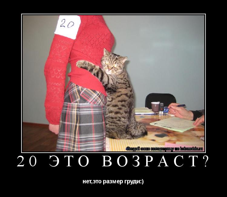Котоматрица: 20 это ВОЗРАСТ? нет,это размер груди:)