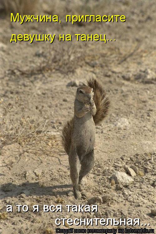 Мужчина, пригласите девушку на танец... а то я вся такая стеснительная...... Котоматрица: Мужчина, пригласите девушку на танец... а то я вся такая стеснительная...