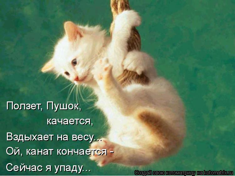 Ползет, Пушок, Ой, канат кончается - Сейчас я упаду... качается, Вздыхает на весу...... Котоматрица: Ползет, Пушок, Ой, канат кончается - Сейчас я упаду... качается, Вздыхает на весу...