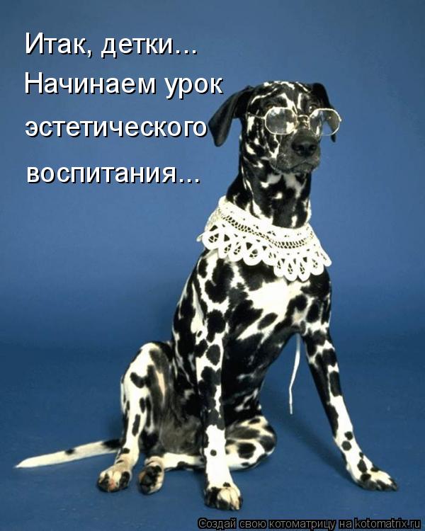 Итак, детки... Начинаем урок эстетического воспитания...... Котоматрица: Итак, детки... Начинаем урок эстетического воспитания...