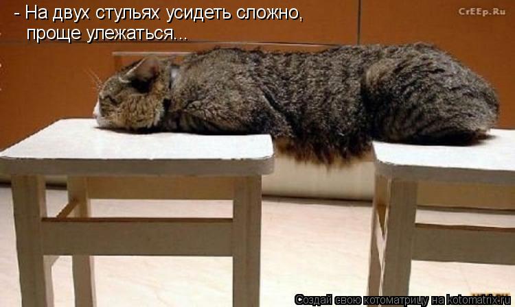 - На двух стульях усидеть сложно, проще улежаться...... Котоматрица: - На двух стульях усидеть сложно, проще улежаться...
