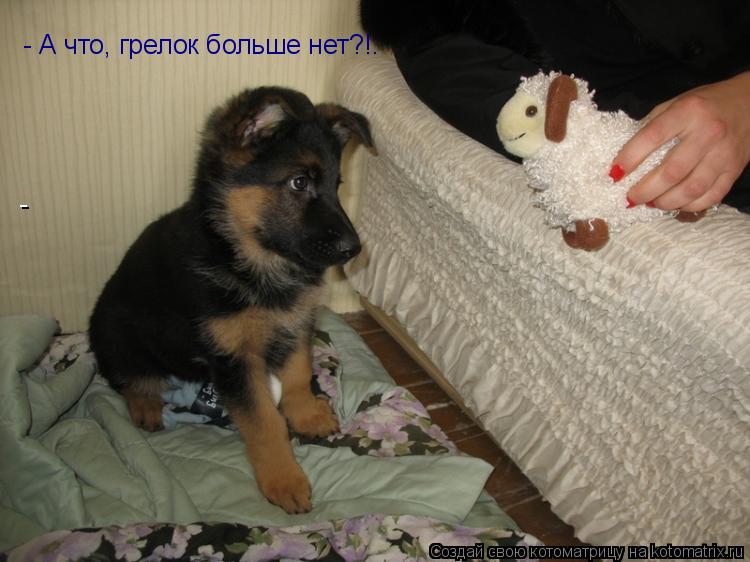 - - А что, грелок больше нет?!.... Котоматрица: - - А что, грелок больше нет?!.