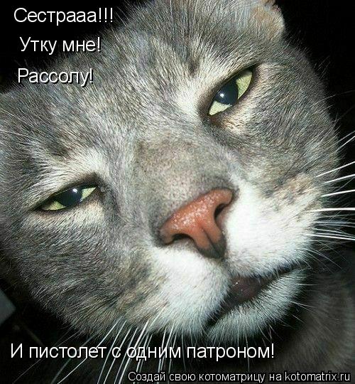Сестрааа!!! Утку мне! Рассолу! И пистолет с одним патроном!... Котоматрица: Сестрааа!!! Утку мне! Рассолу! И пистолет с одним патроном!