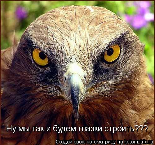 Ну мы так и будем глазки строить???... Котоматрица: Ну мы так и будем глазки строить???