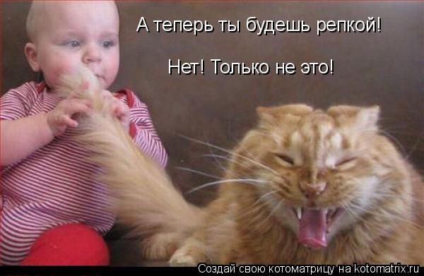 А теперь ты будешь репкой! Нет! Только не это!... Котоматрица: А теперь ты будешь репкой! Нет! Только не это!