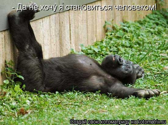 - Да не хочу я становиться человеком!... Котоматрица: - Да не хочу я становиться человеком!