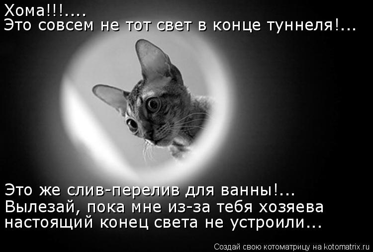Котоматрица: Хома!!!.... Это совсем не тот свет в конце туннеля!... Это же слив-перелив для ванны!... Вылезай, пока мне из-за тебя хозяева настоящий конец света 