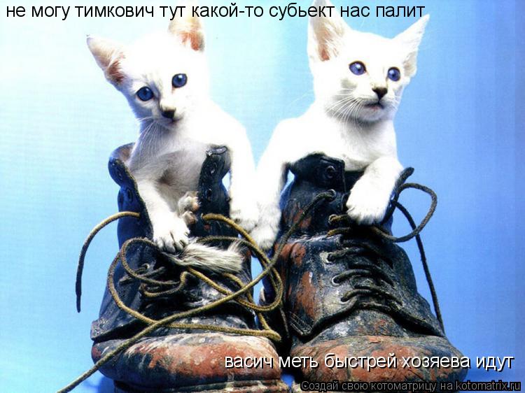 васич меть быстрей хозяева идут не могу тимкович тут какой-то субьект нас палит... Котоматрица: васич меть быстрей хозяева идут не могу тимкович тут какой-то субьект нас палит