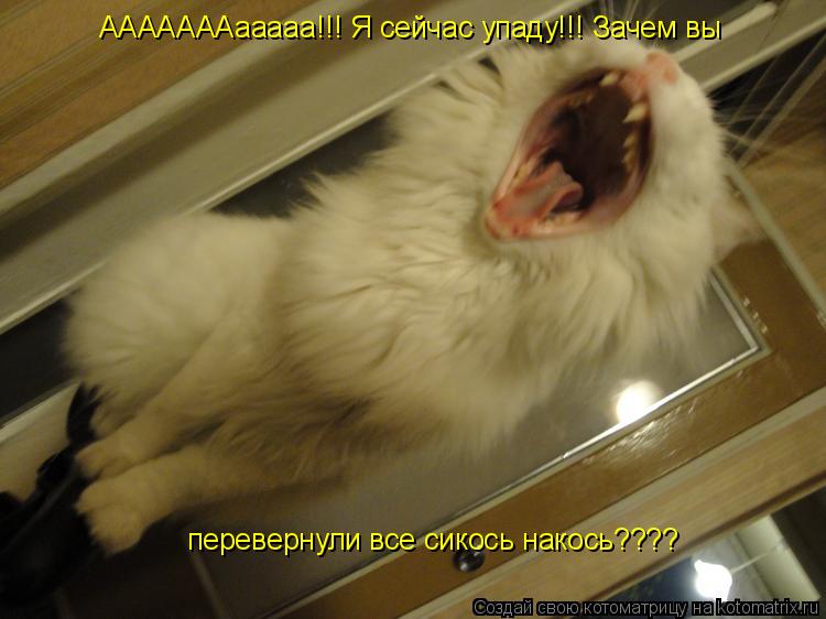 АААААААааааа!!! Я сейчас упаду!!! Зачем вы перевернули все сикось накось????... Котоматрица: АААААААааааа!!! Я сейчас упаду!!! Зачем вы перевернули все сикось накось????