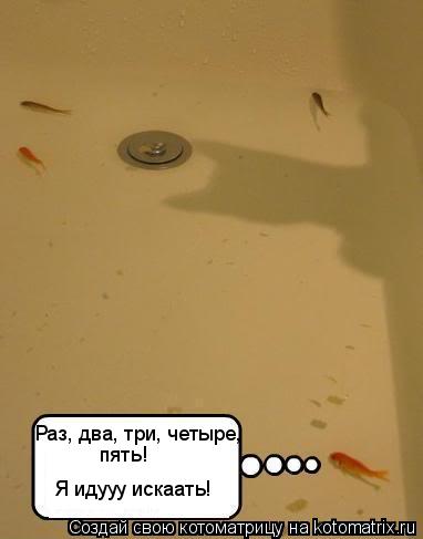 Котоматрица: Раз, два, три, четыре, пять! Я идууу искаать!