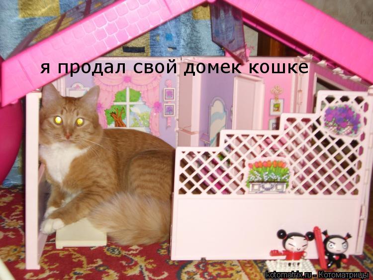 Котоматрица: я продал свой домек кошке