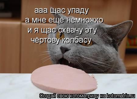 Котоматрица: ааа щас упаду  а мне ещё немножко  и я щас схвачу эту чёртову колбасу