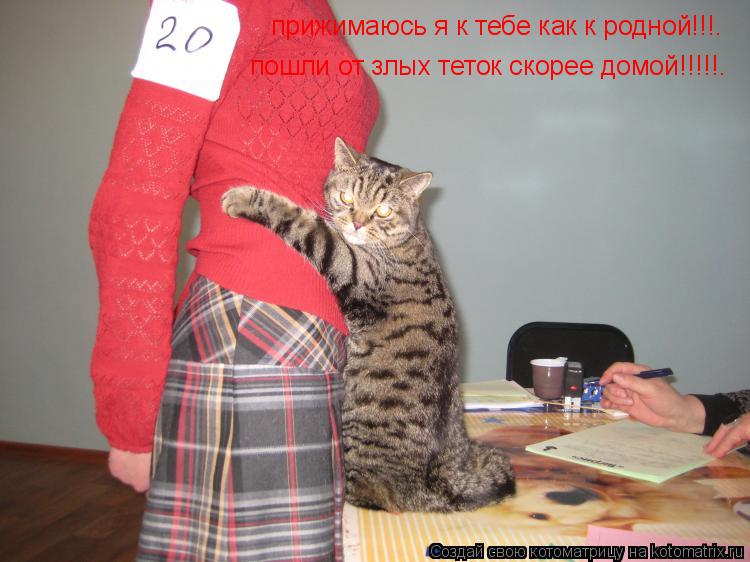 прижимаюсь я к тебе как к родной!!!. пошли от злых теток скорее домой!!!!!.... Котоматрица: прижимаюсь я к тебе как к родной!!!. пошли от злых теток скорее домой!!!!!.