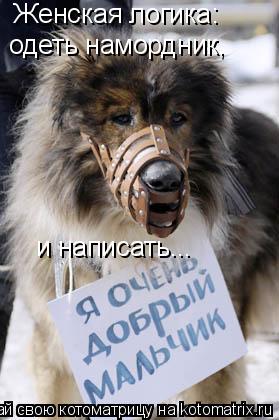 Женская логика: одеть намордник, и написать...... Котоматрица: Женская логика: одеть намордник, и написать...