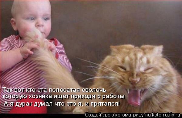 Так вот кто эта полосатая сволочь которую хозяйка ищет приходя с работы А я дурак думал что это я, и ... Котоматрица: Так вот кто эта полосатая сволочь которую хозяйка ищет приходя с работы А я дурак думал что это я, и прятался!