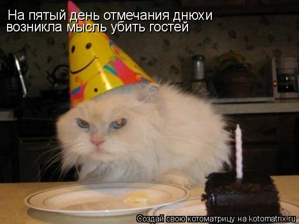 На пятый день отмечания днюхи возникла мысль убить гостей... Котоматрица: На пятый день отмечания днюхи возникла мысль убить гостей