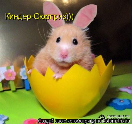 Киндер-Сюрприз)))... Котоматрица: Киндер-Сюрприз)))