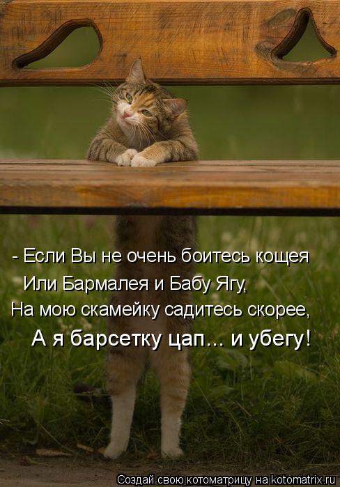 - Если Вы не очень боитесь кощея Или Бармалея и Бабу Ягу, На мою скамейку садитесь скорее, А я барсет... Котоматрица: - Если Вы не очень боитесь кощея Или Бармалея и Бабу Ягу, На мою скамейку садитесь скорее, А я барсетку цап... и убегу!