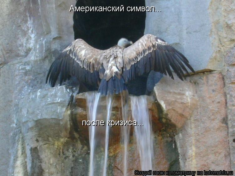 Американский символ... после кризиса...... Котоматрица: Американский символ... после кризиса...