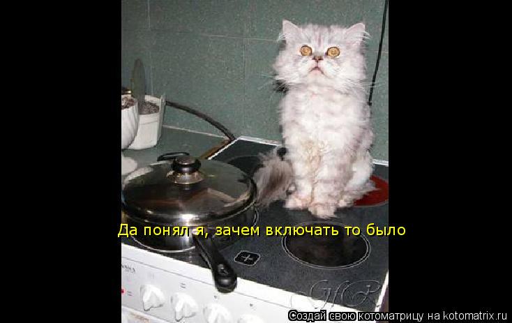 Да понял я, зачем включать то было... Котоматрица: Да понял я, зачем включать то было