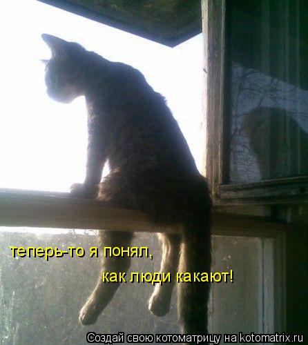 теперь-то я понял, как люди какают!... Котоматрица: теперь-то я понял, как люди какают!