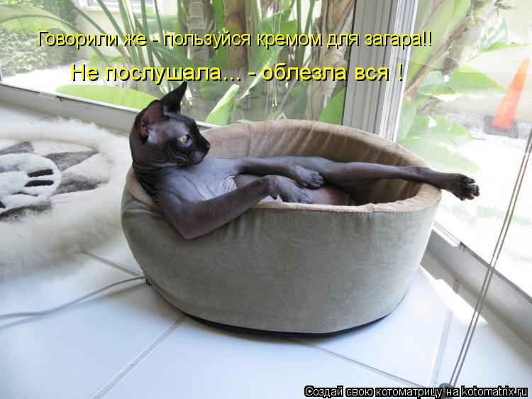 Говорили же - пользуйся кремом для загара!! Не послушала... - облезла вся !... Котоматрица: Говорили же - пользуйся кремом для загара!! Не послушала... - облезла вся !