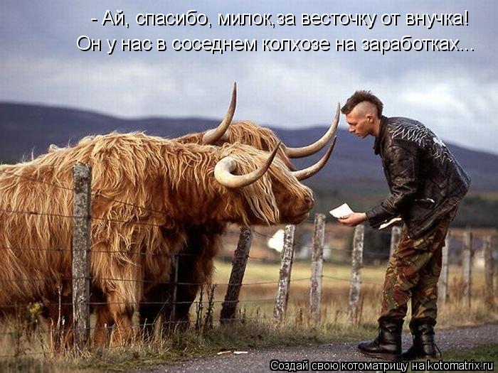 - Ай, спасибо, милок,за весточку от внучка! Он у нас в соседнем колхозе на заработках...... Котоматрица: - Ай, спасибо, милок,за весточку от внучка! Он у нас в соседнем колхозе на заработках...